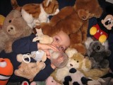 Aurian sous ses peluches