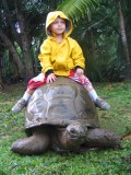 Je monte à tortue géante!